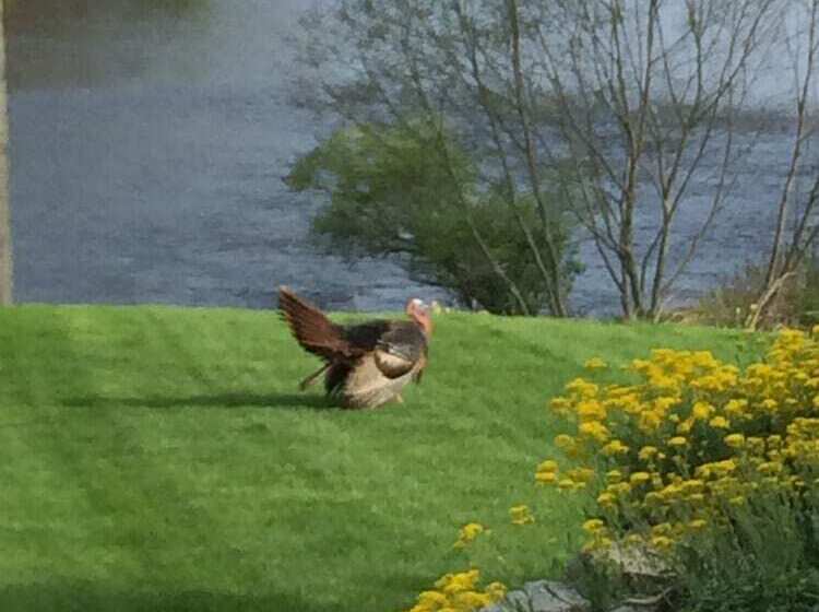 مبيت وإفطار Riverhouse