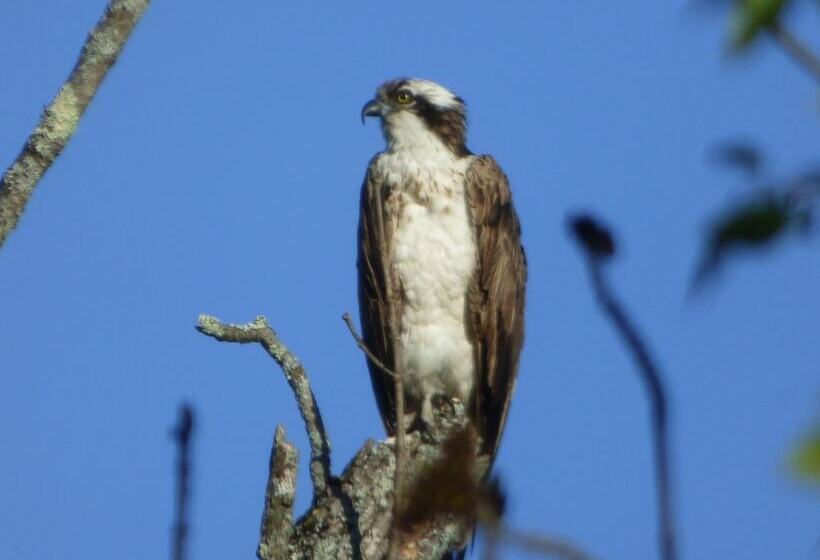 مبيت وإفطار Riverhouse