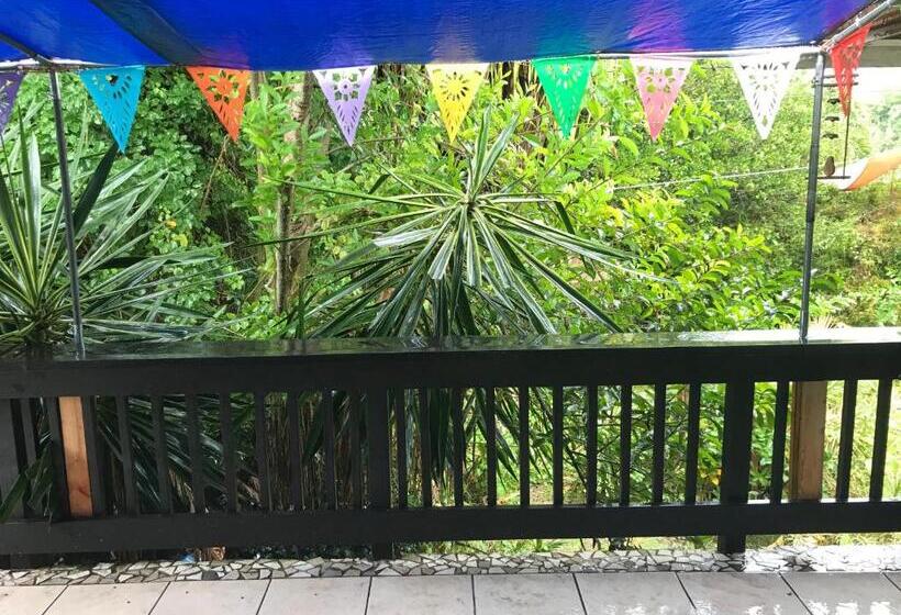 Bed and Breakfast Shaka Shak Guest House