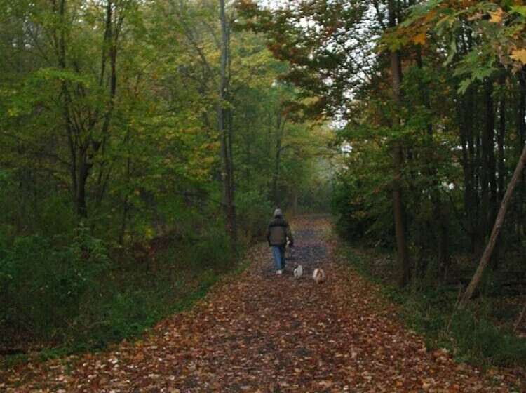 تختخواب و صبحانه The Connecticut River Valley Inn
