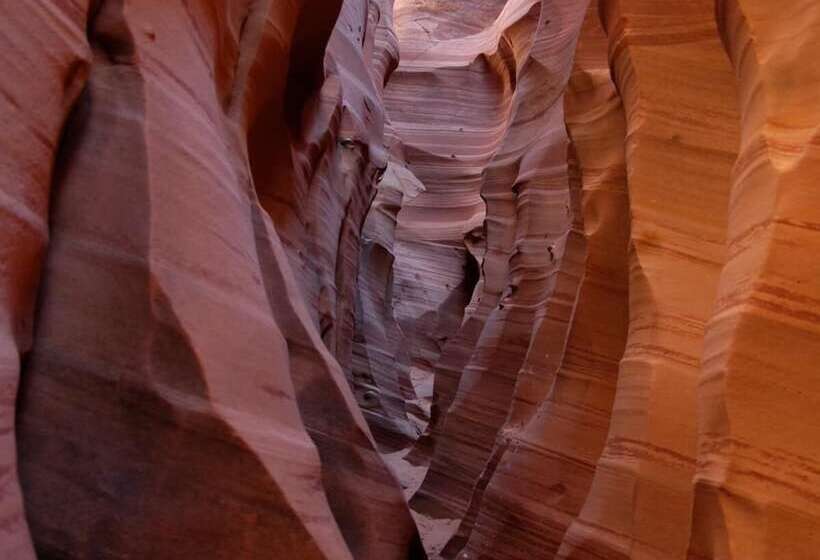 مبيت وإفطار The Inn Of Escalante