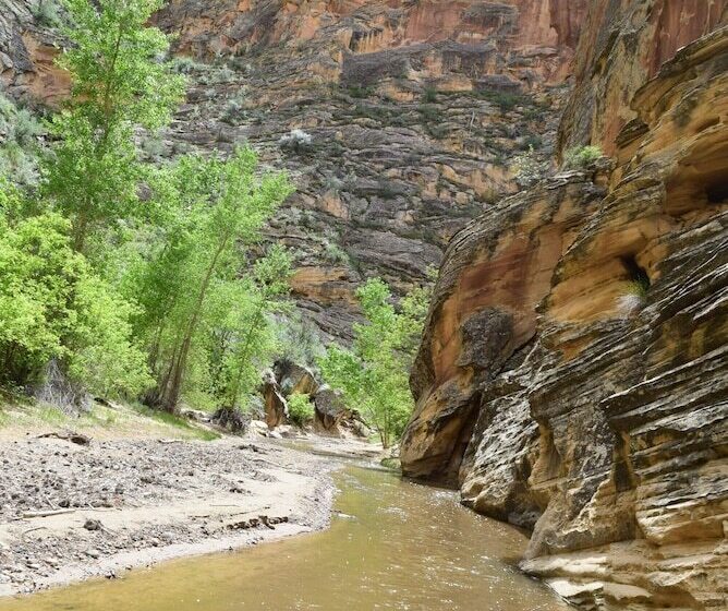 مبيت وإفطار The Inn Of Escalante