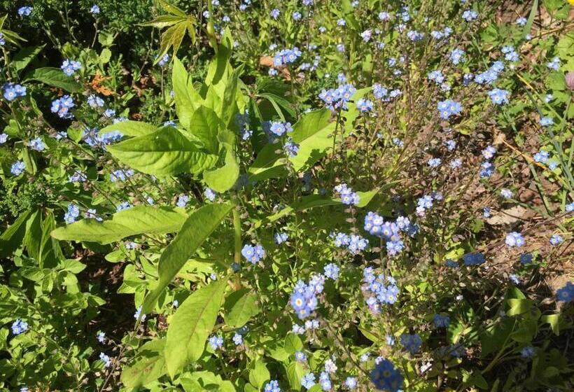 민박 The Little River Inn