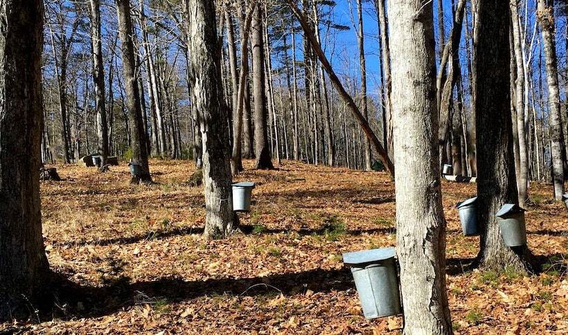 Center Harbor Sutton House B & B