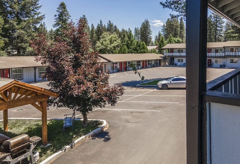 Charm Motel & Suites