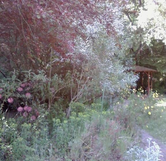 Fairview Manor Bed And Breakfast