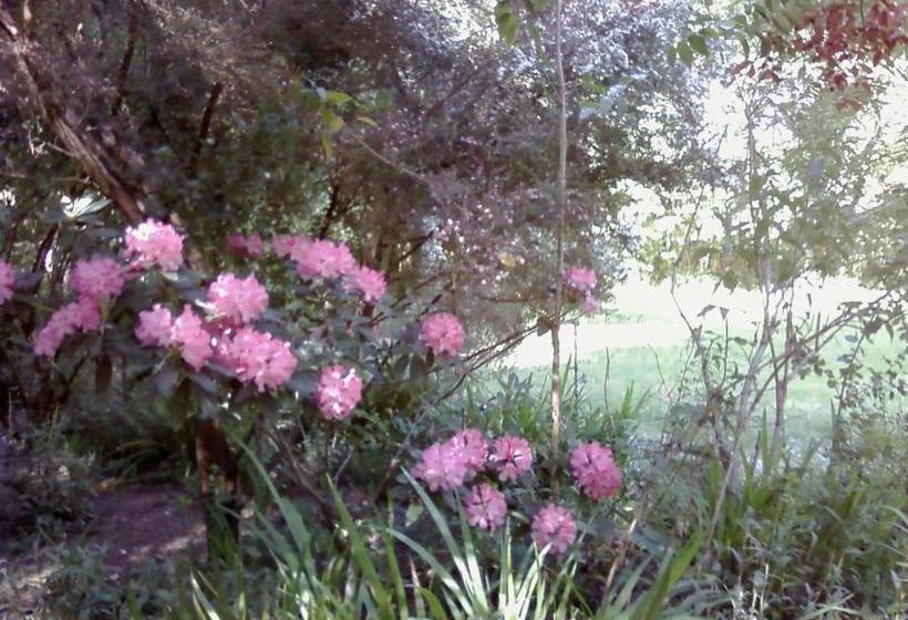 Fairview Manor Bed And Breakfast