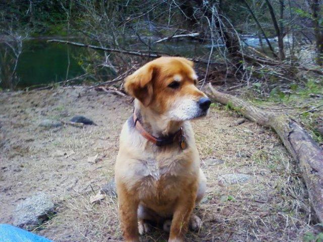 Fairview Manor Bed And Breakfast