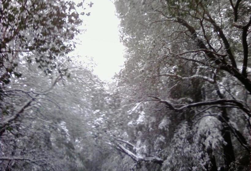 Fairview Manor Bed And Breakfast