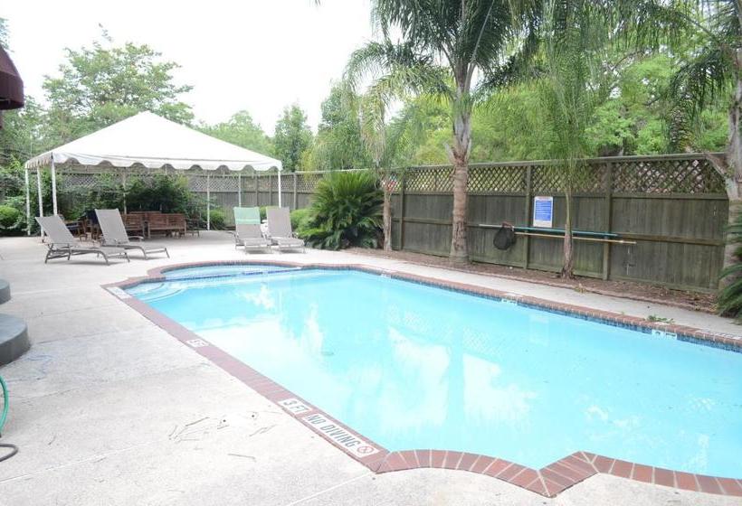 Hi  Houston The Morty Rich Hostel