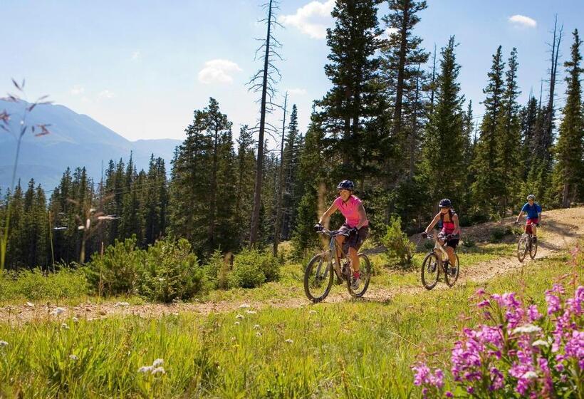 Отель Breck Inn