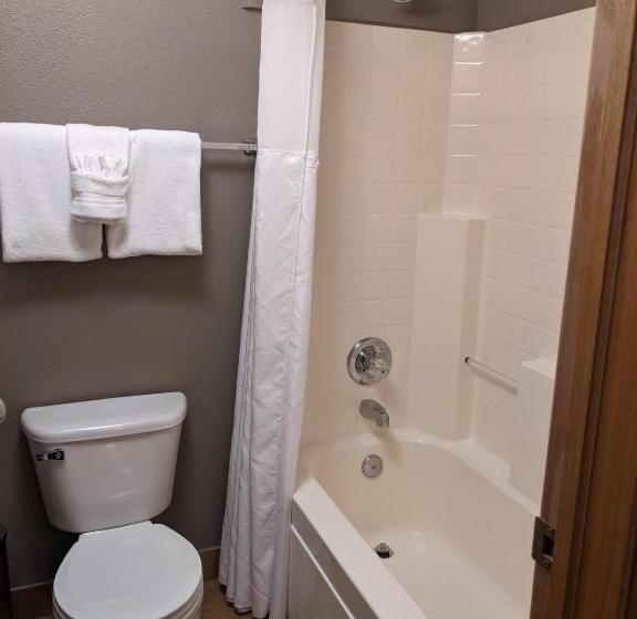 Отель Breck Inn