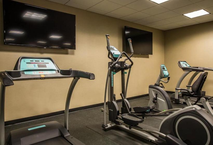 בית מלון כפרי Comfort Inn Sylva   Cullowhee
