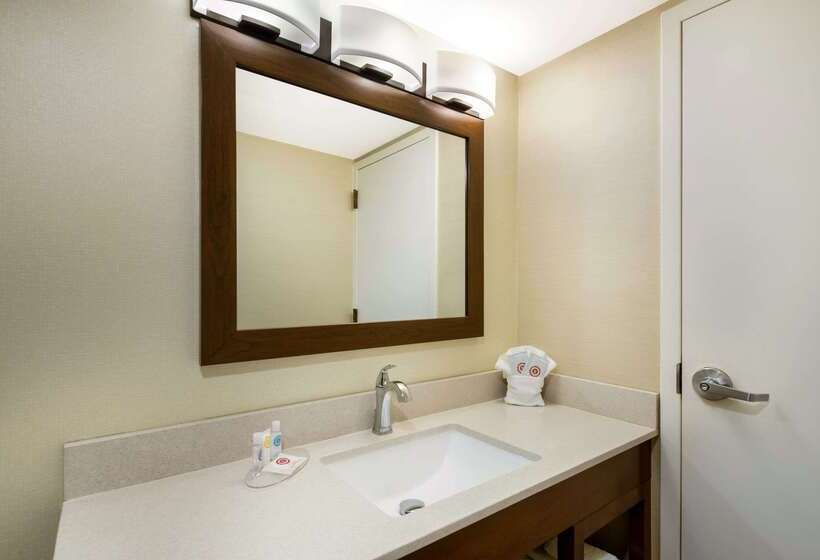 酒店 Comfort Inn Virginia Horse Center