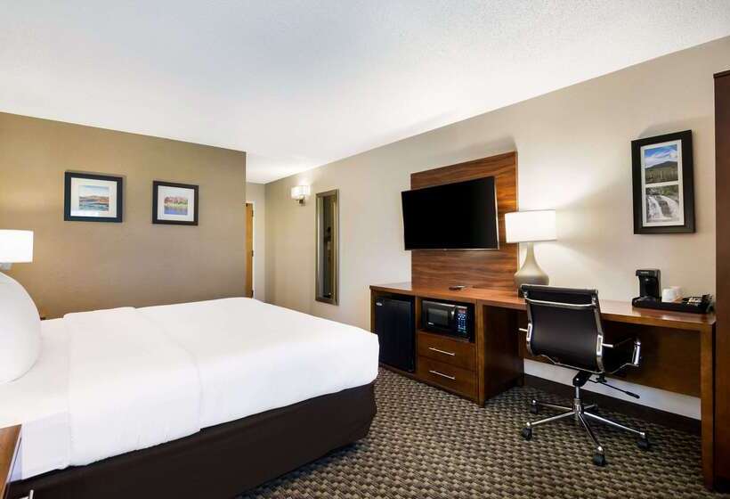 ホテル Comfort Inn Virginia Horse Center