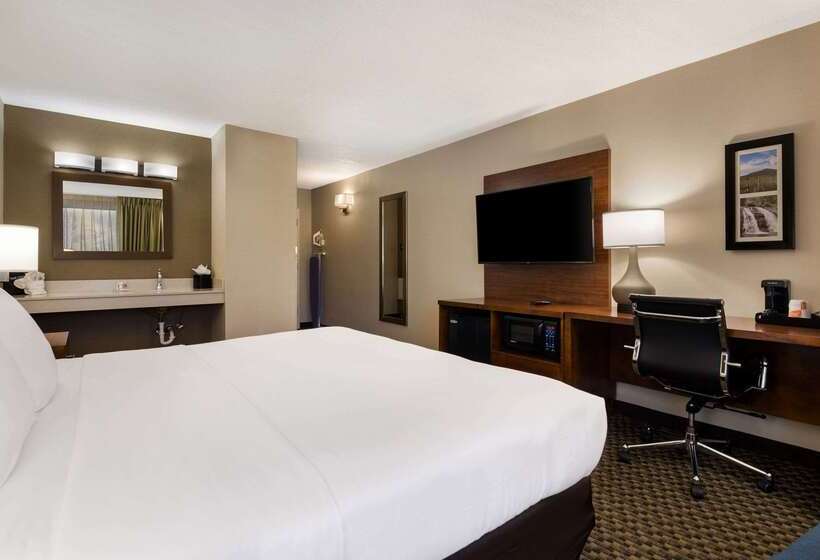 ホテル Comfort Inn Virginia Horse Center