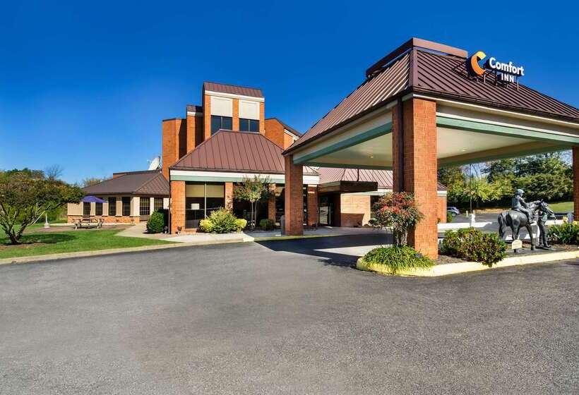 酒店 Comfort Inn Virginia Horse Center