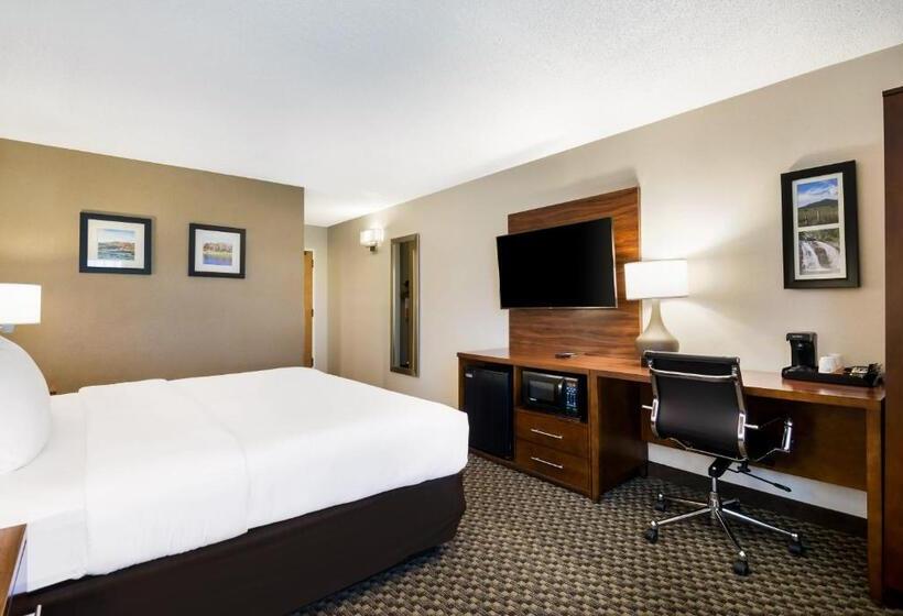 ホテル Comfort Inn Virginia Horse Center