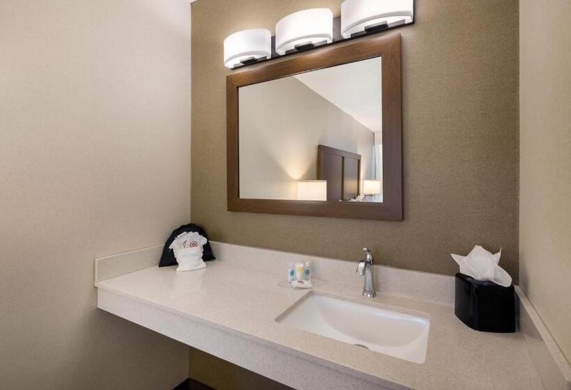 酒店 Comfort Inn Virginia Horse Center