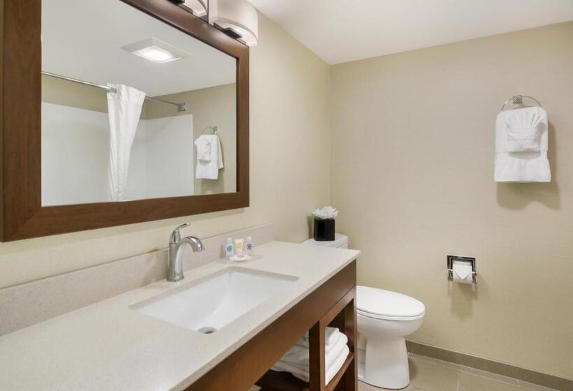 ホテル Comfort Inn Virginia Horse Center