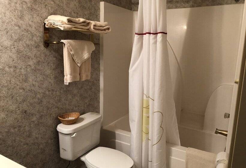 酒店 Countryside Suites Omaha