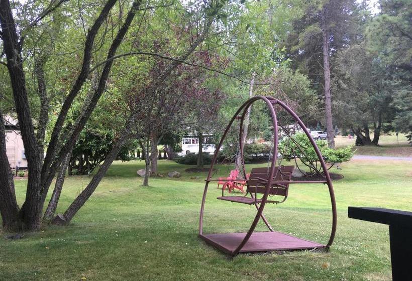 فندق Discovery Inn