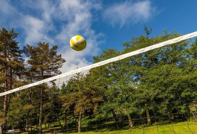 فندق Discovery Inn