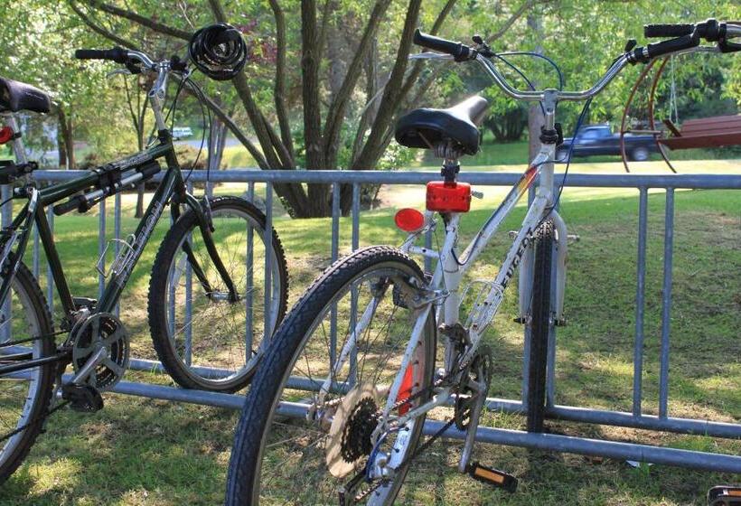 فندق Discovery Inn