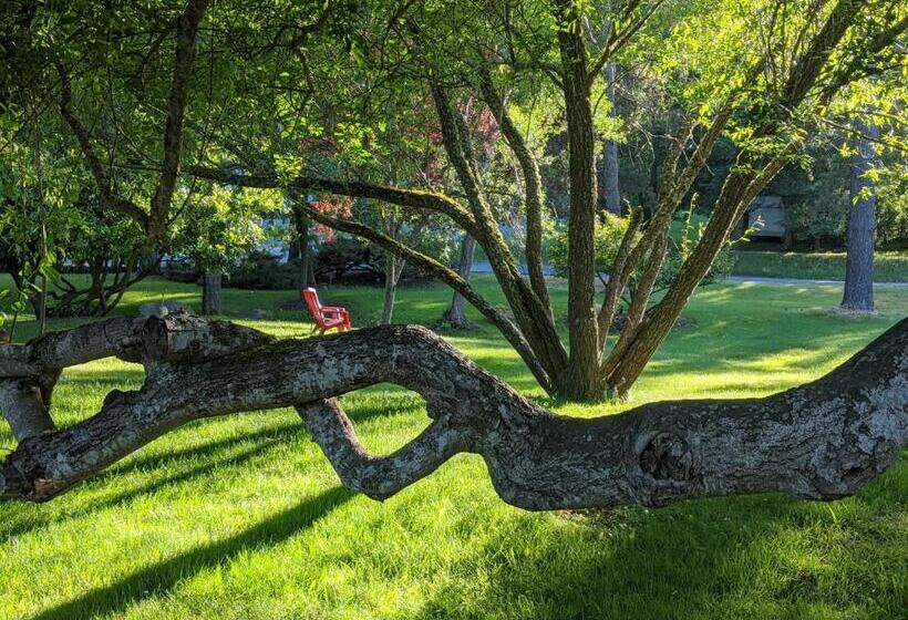 فندق Discovery Inn