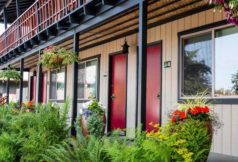 فندق Discovery Inn