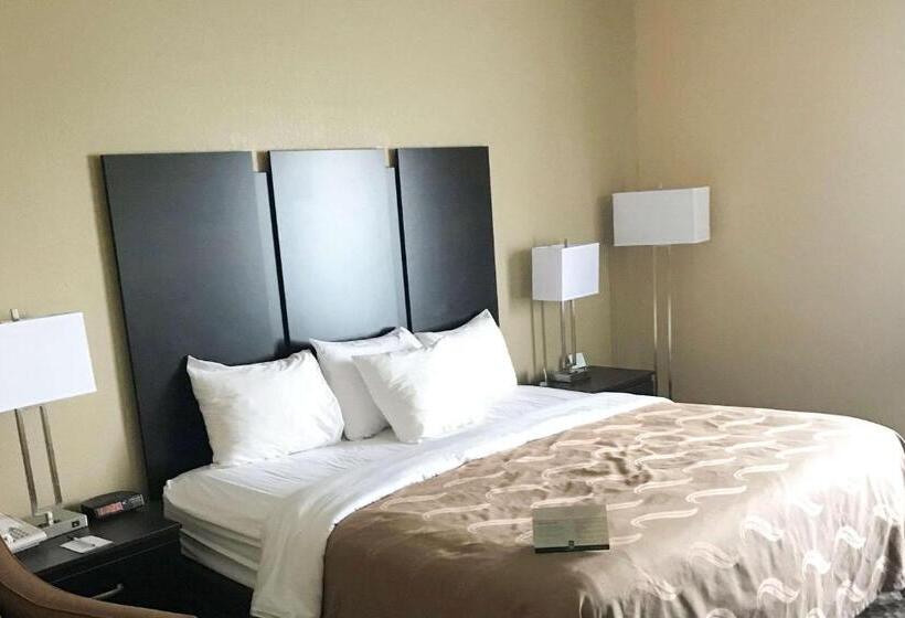 酒店 Quality Inn & Suites Mendota Near I 39