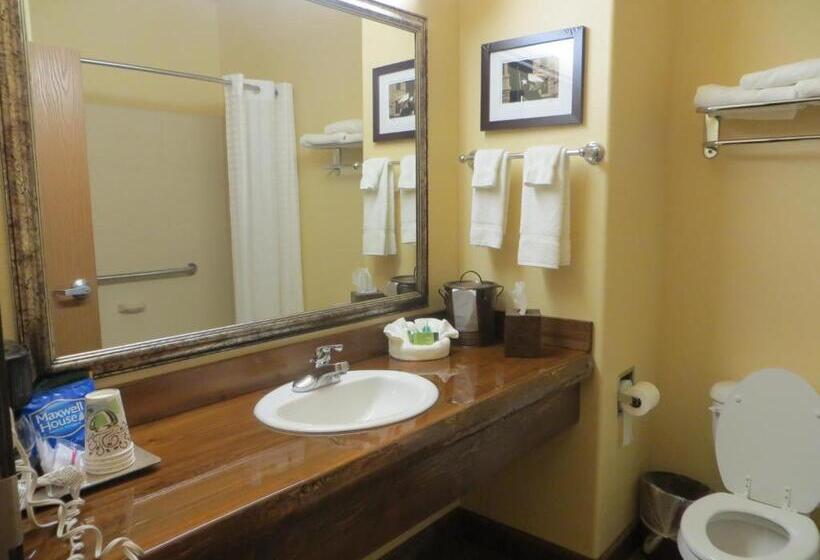 호텔 Texas Hallettsville