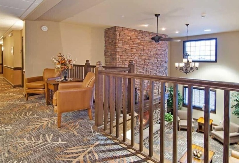 فندق The Watford