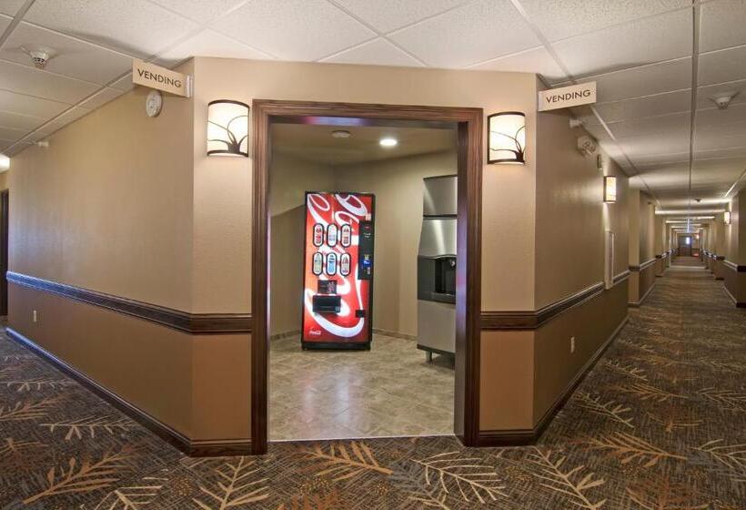 فندق The Watford