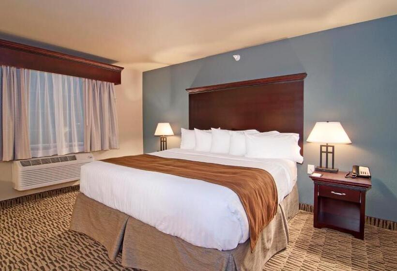 בית מלון כפרי The Watford