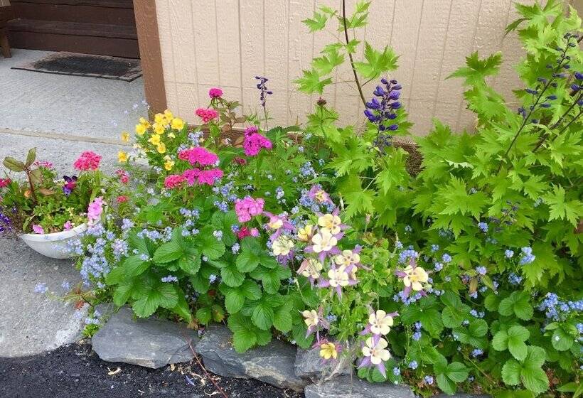 House On The Rock B&b