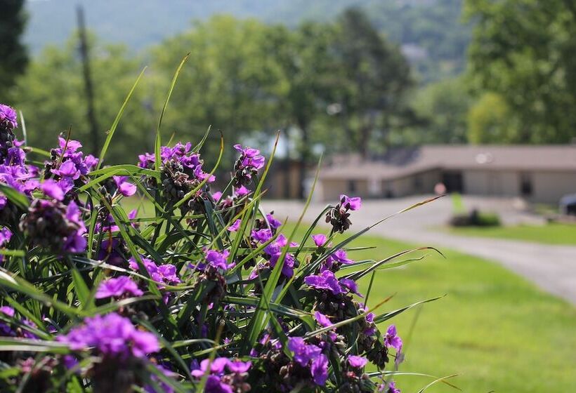 Mill Creek Resort On Table Rock Lake