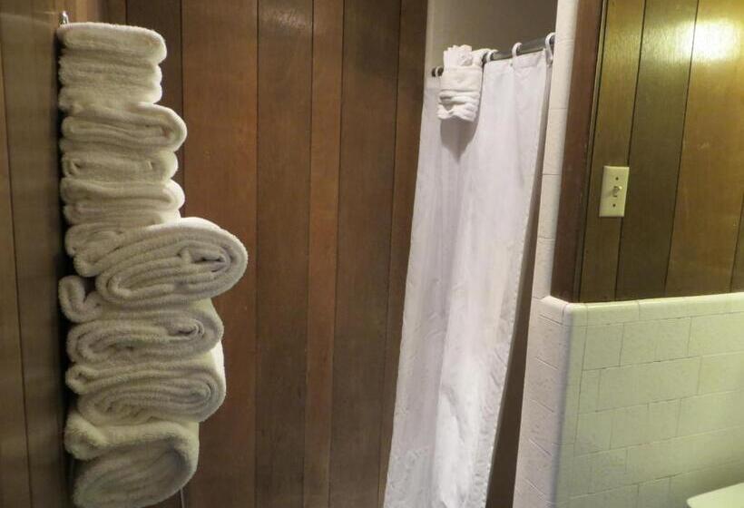 فندق على الطريق Alamo Inn