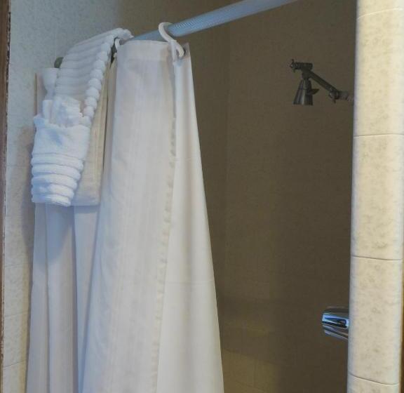 فندق على الطريق Alamo Inn