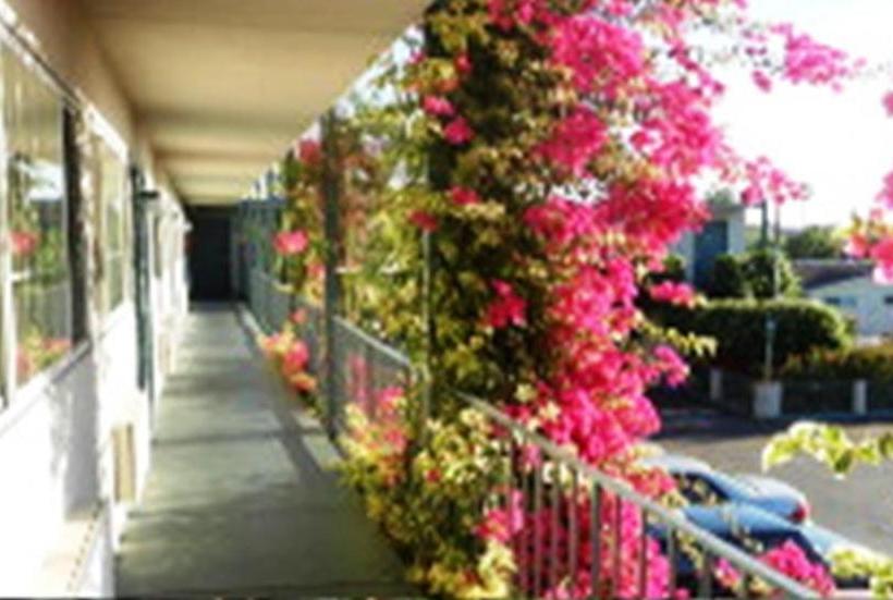 모텔 Antioch Executive Inn