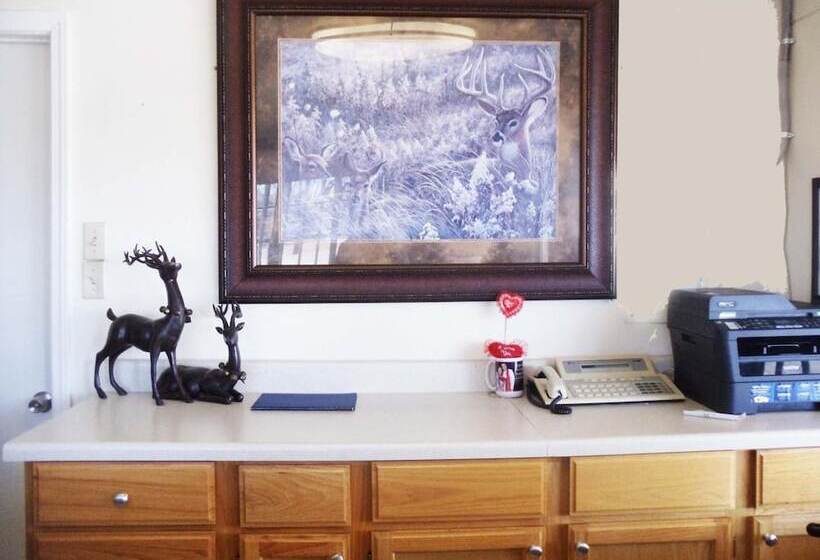 فندق على الطريق Antlers Budget Inn