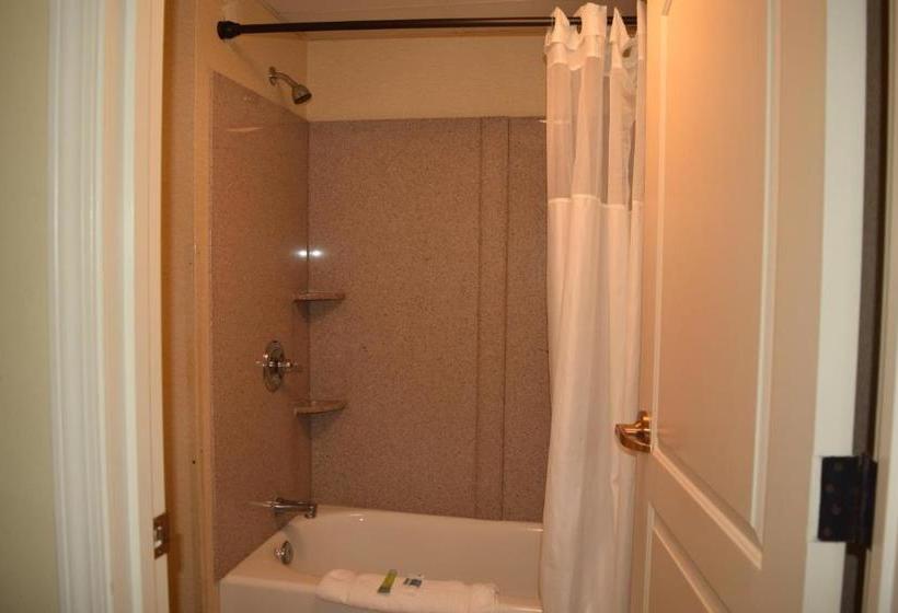 فندق على الطريق Atkinson Inn & Suites