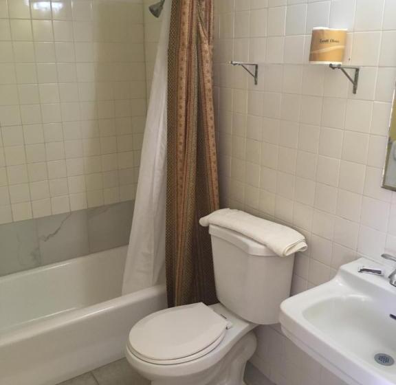 汽车旅馆 Blue Star Inn