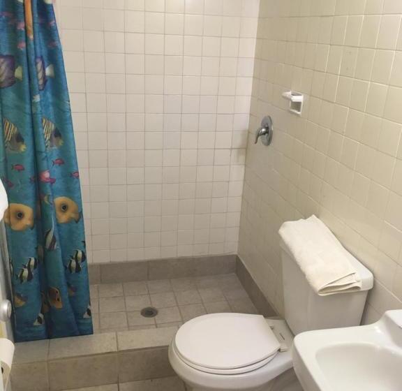 Мотель Blue Star Inn