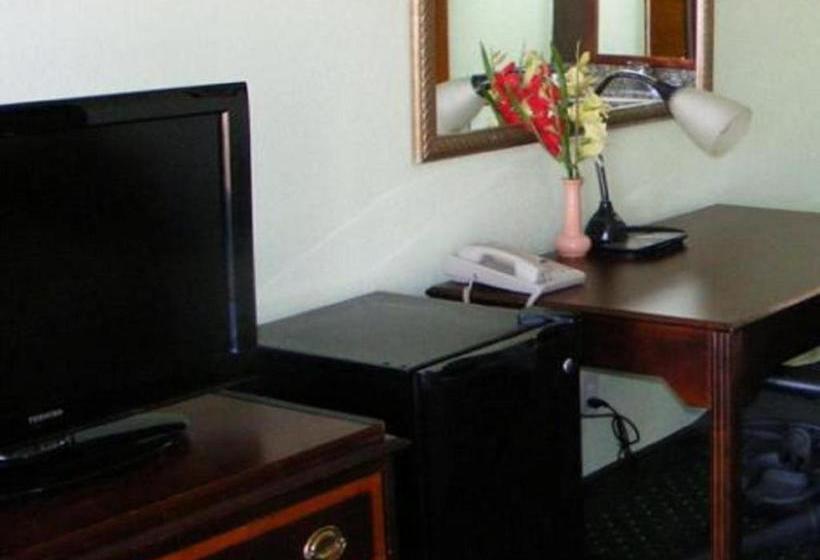 汽车旅馆  Budget Inn Palmyra