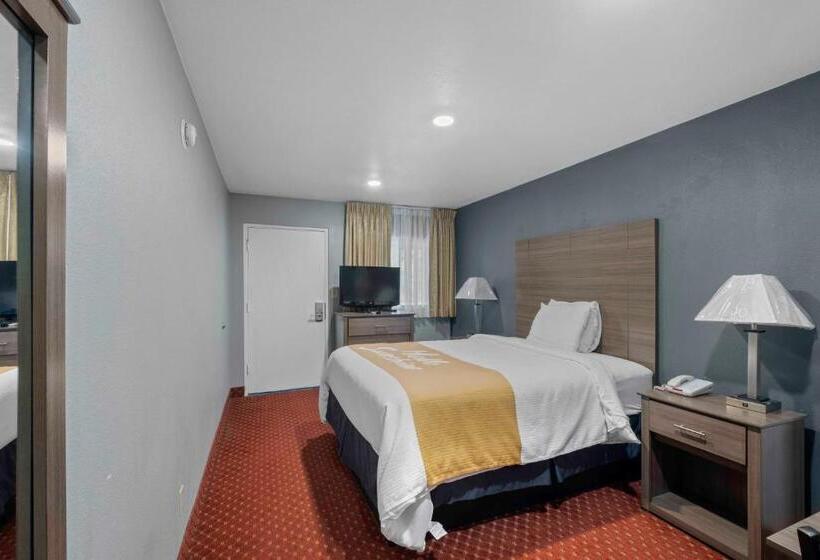 فندق على الطريق Budget Lodge