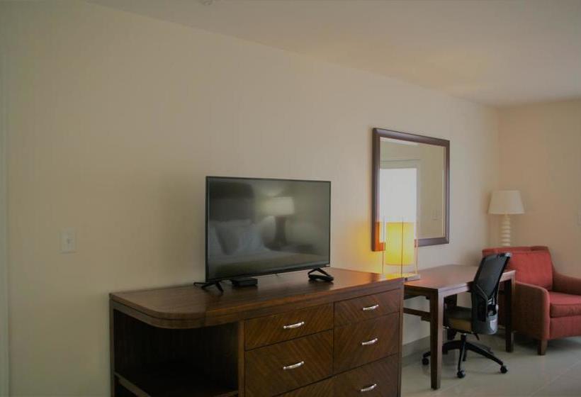 فندق على الطريق Capri Apartments