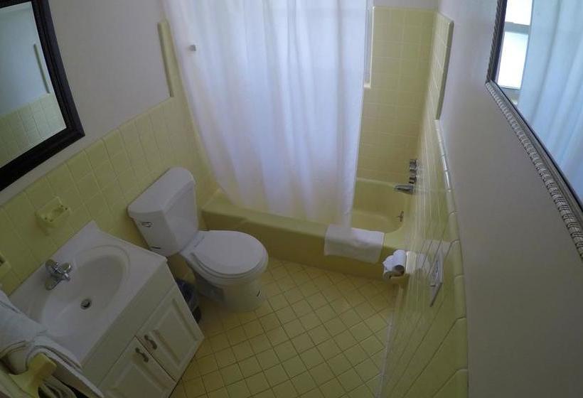 فندق على الطريق Capri Apartments