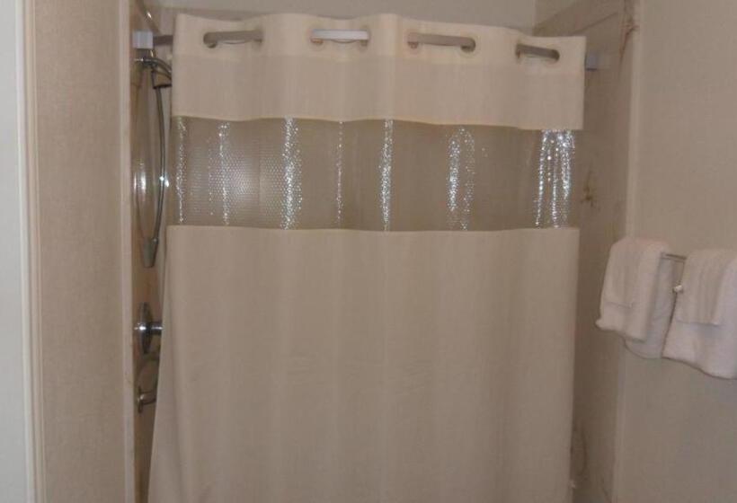 モーテル Deluxe Inn Palacios