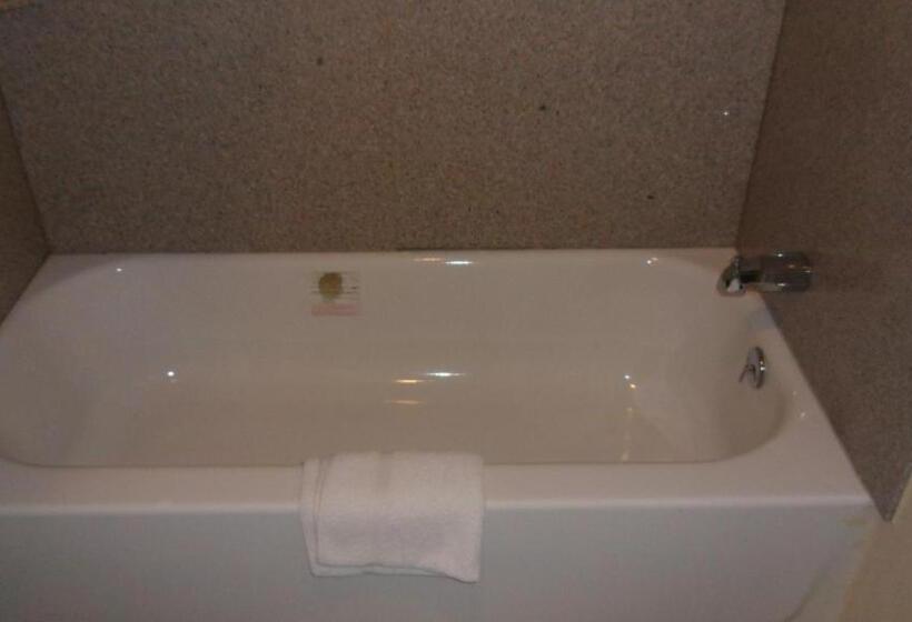 モーテル Deluxe Inn Palacios